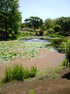 自然風庭園