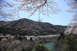 damu4