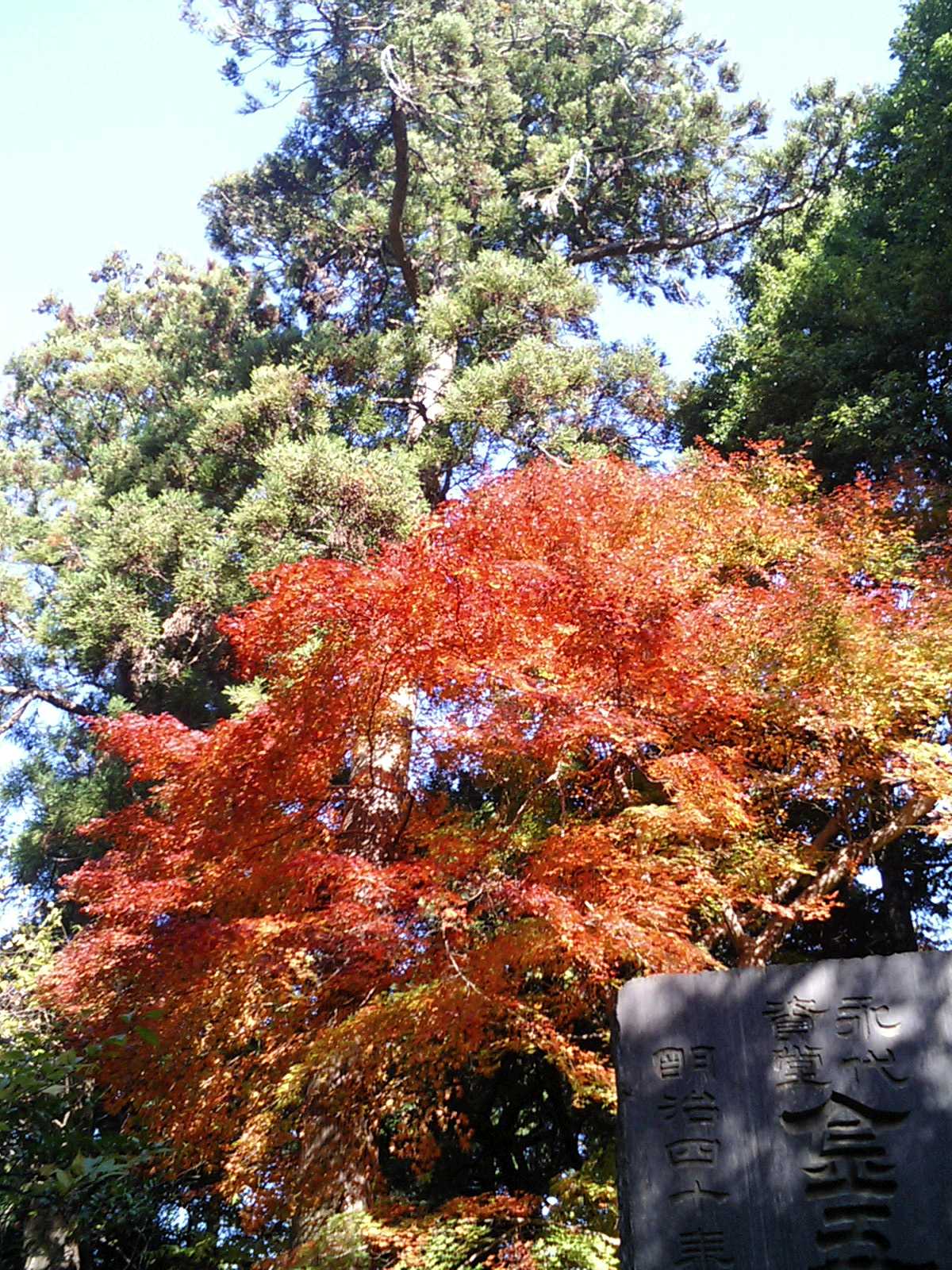 成田山新勝寺