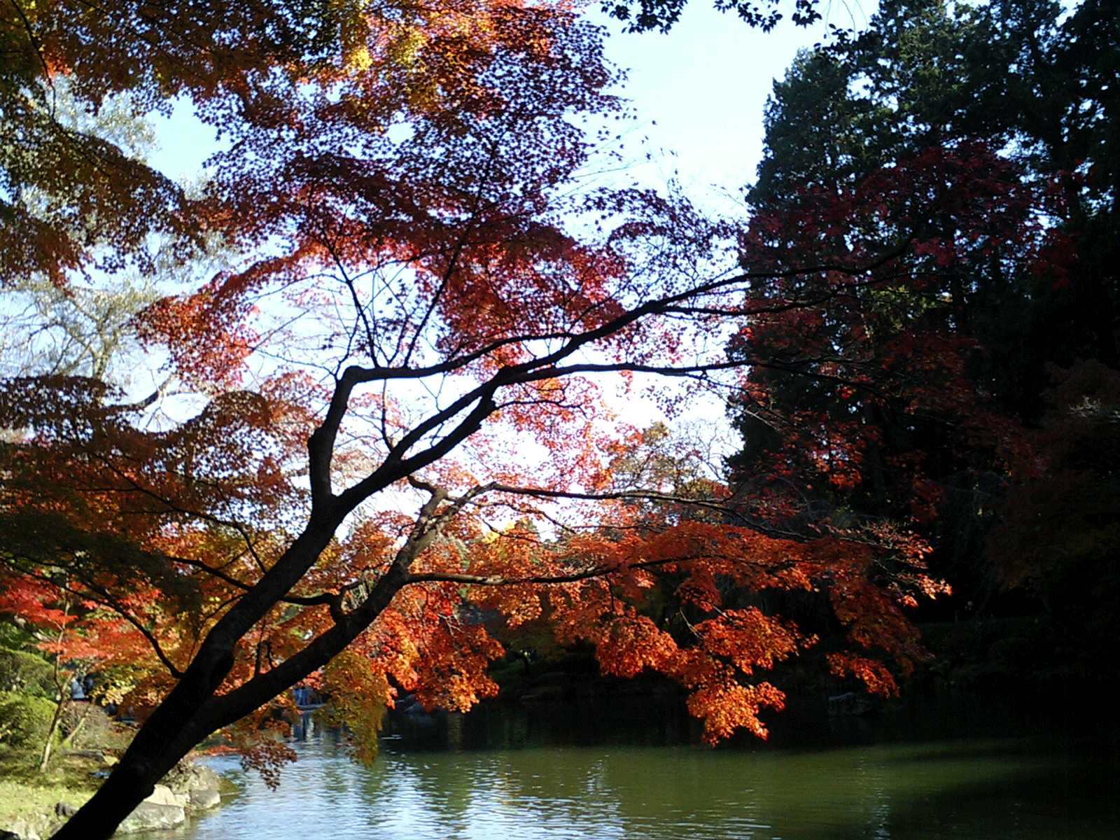 成田山新勝寺