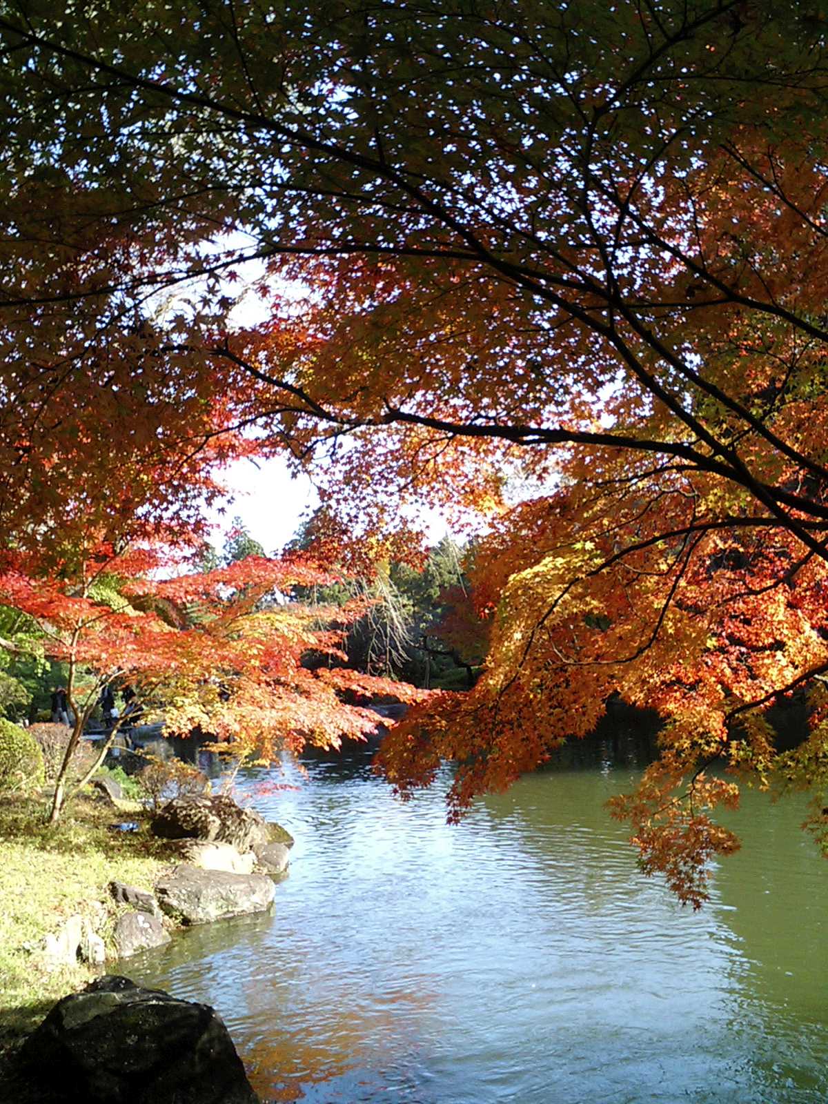 成田山新勝寺