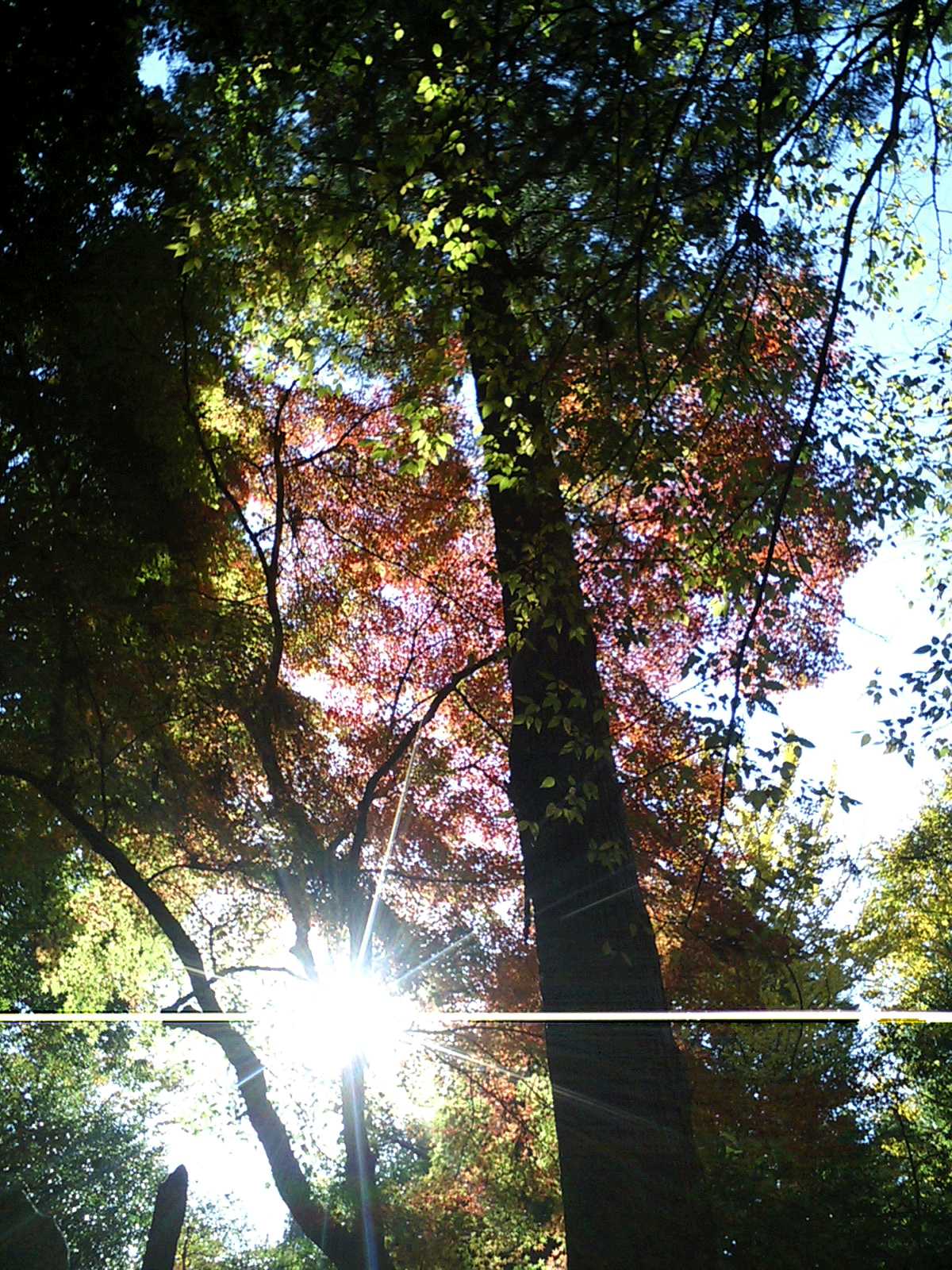 成田山新勝寺