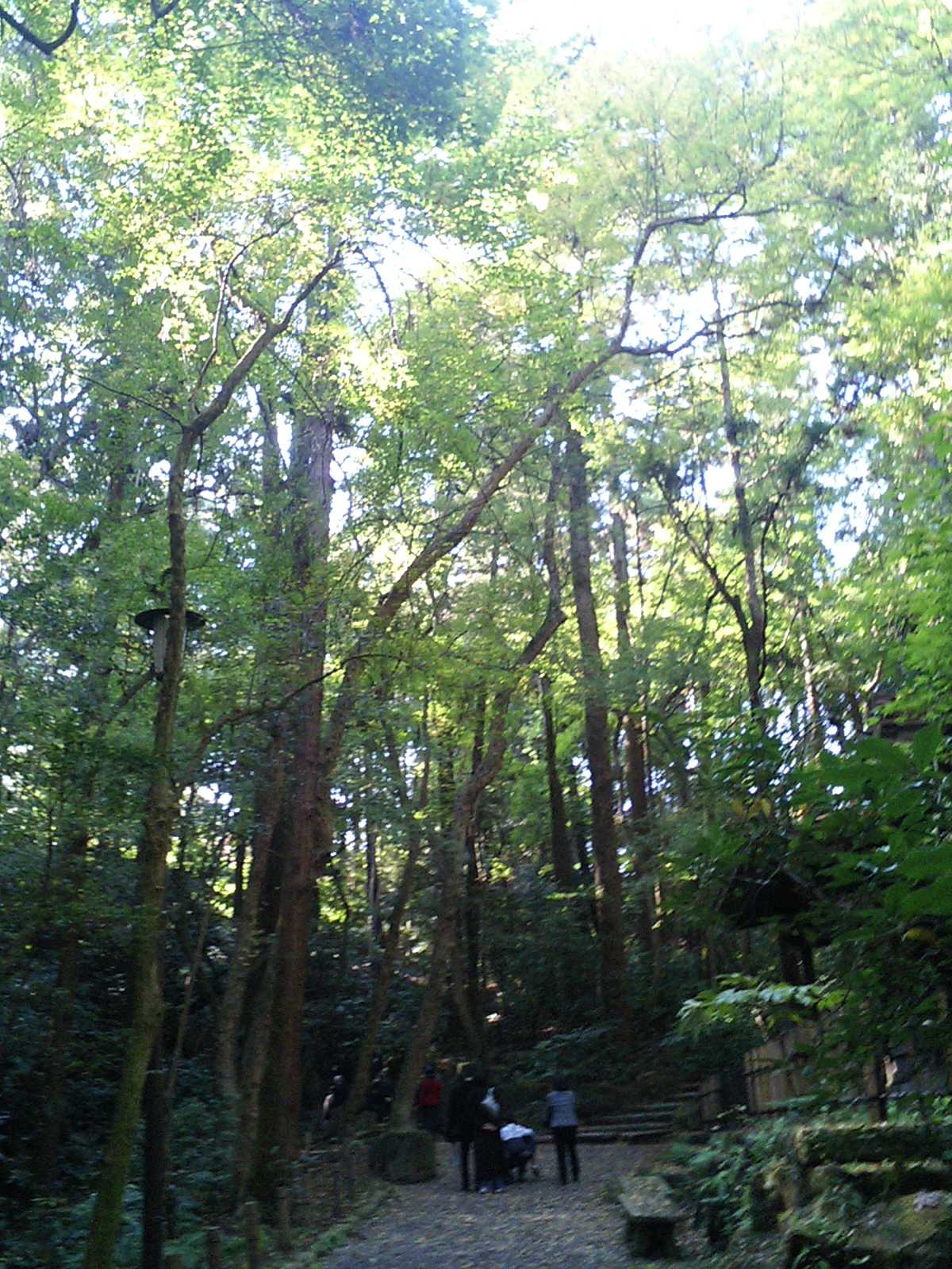 成田山新勝寺