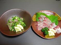 鯵たたき＆鯵刺身