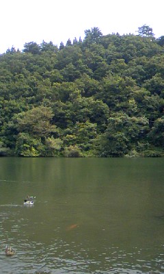 銭淵公園池