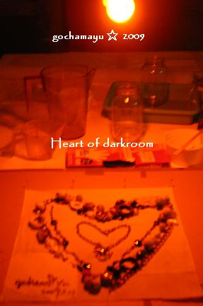 20090215_heartofdarkroom.JPG