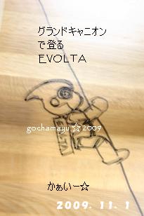 20091101_evolta.JPG