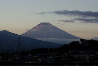 tasogarefuji