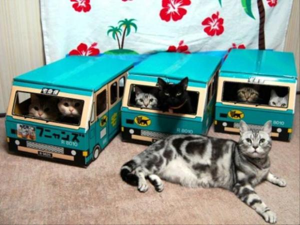 画像はイメージです