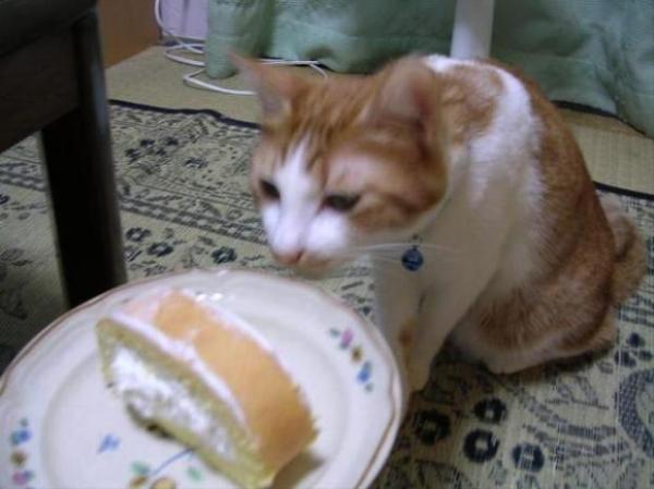 画像はイメージです