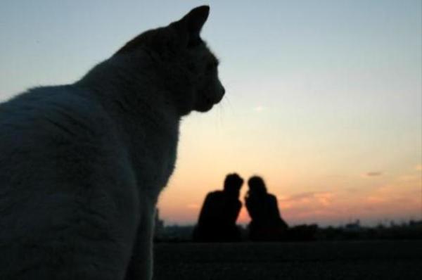 画像はイメージです