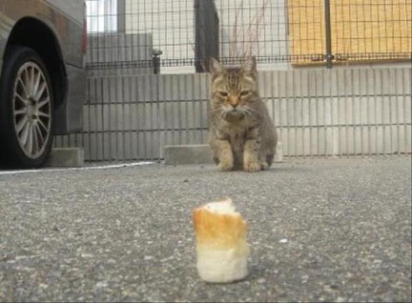 画像はイメージです