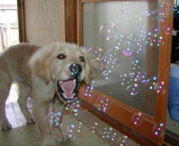 画像はイメージです