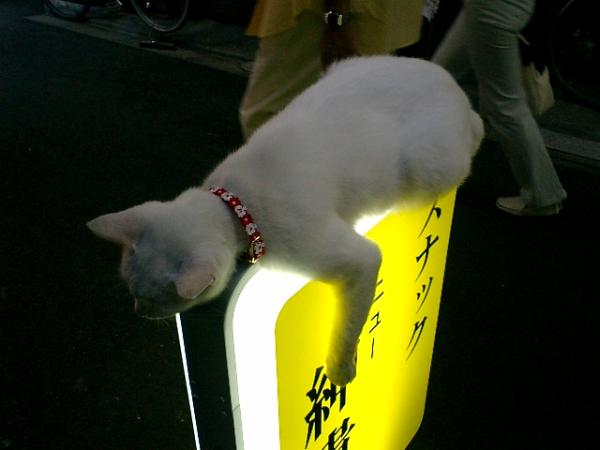 画像はイメージです