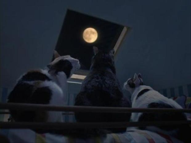 画像はイメージです