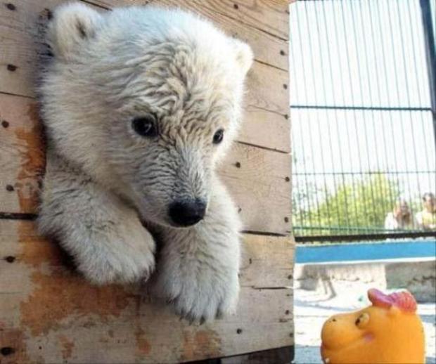 画像はイメージです