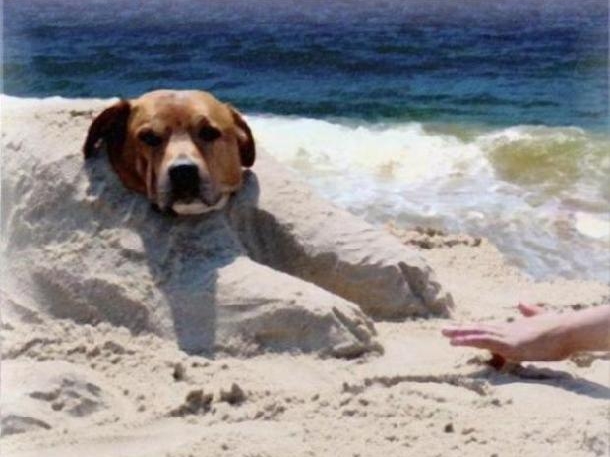 画像はイメージです