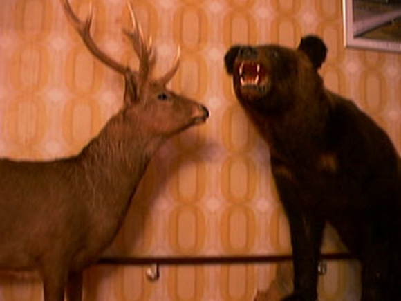 画像はイメージです