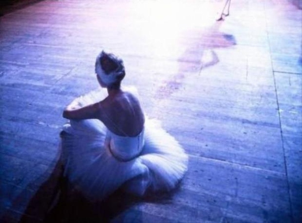 画像はイメージです