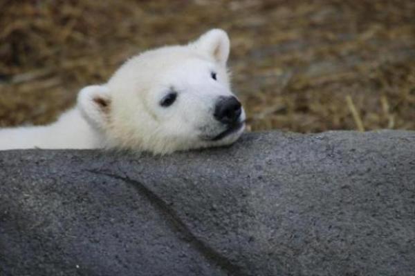 画像はイメージです