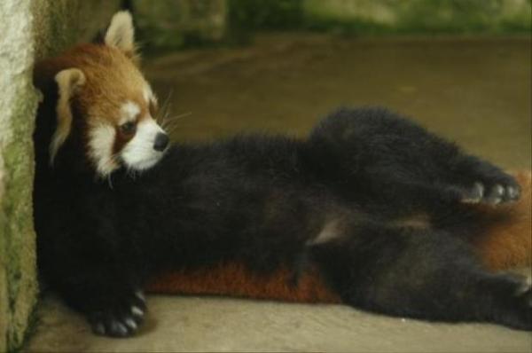 画像はイメージです