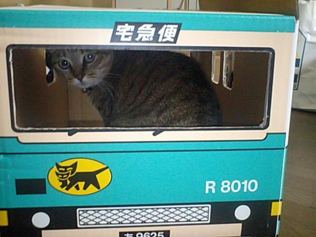 画像はイメージです