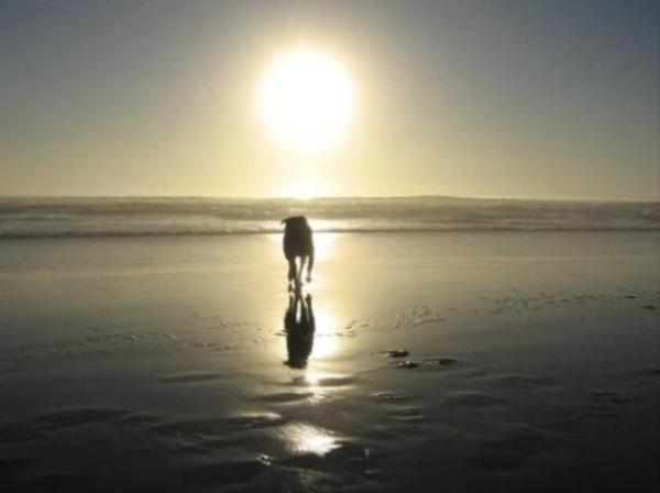 画像はイメージです