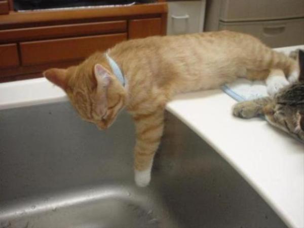 画像はイメージです