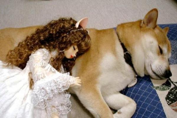 画像はイメージです