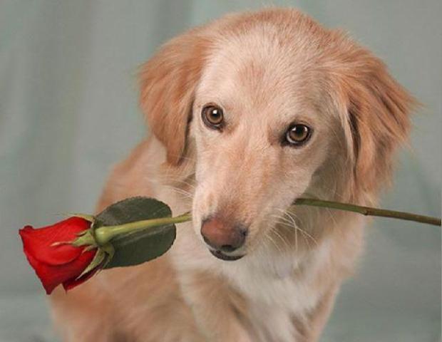 画像はイメージです