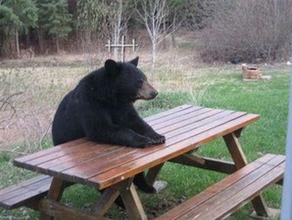 画像はイメージです