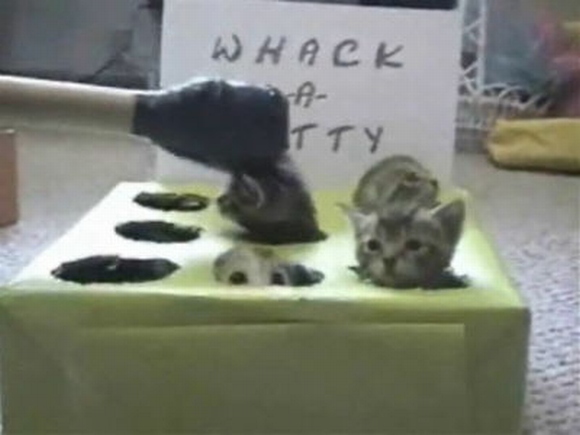 画像はイメージです