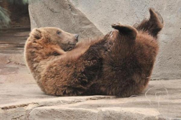 画像はイメージです