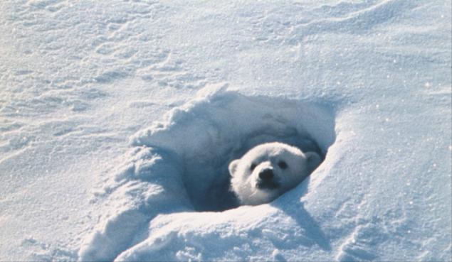 画像はイメージです