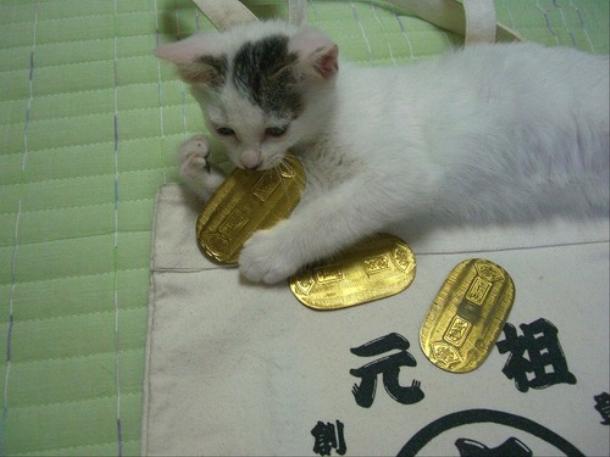 画像はイメージです