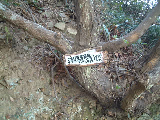 DSCF0151.JPG