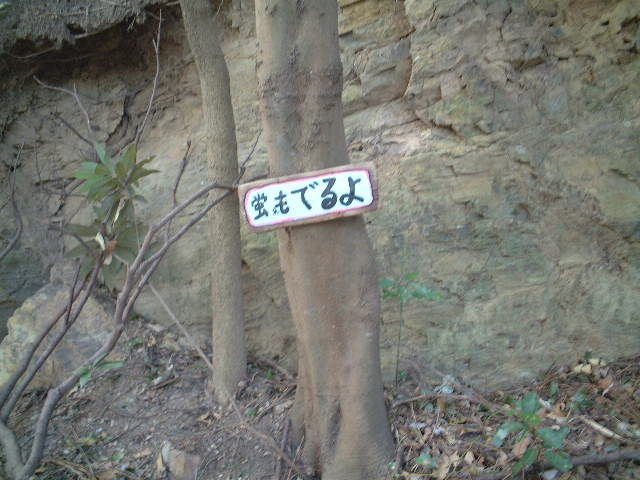 DSCF0143.JPG
