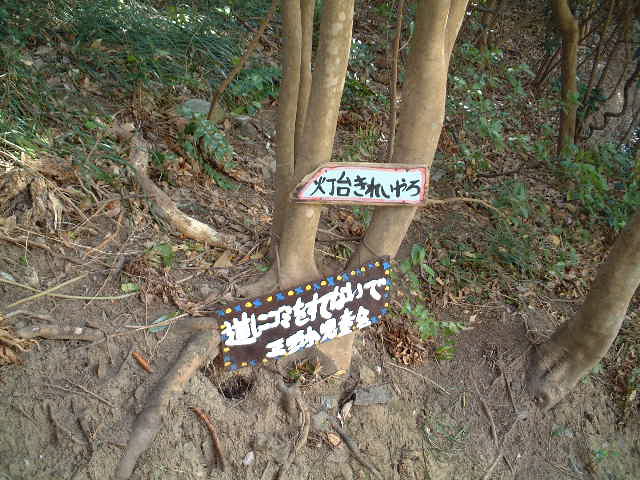 DSCF0155.JPG