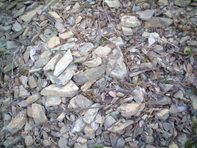 DSCF0176.JPG