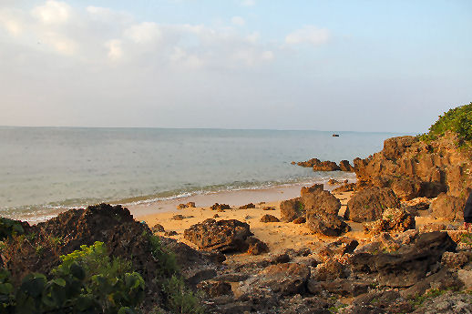 3022009.jpg
