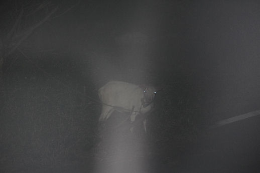 3021906.jpg