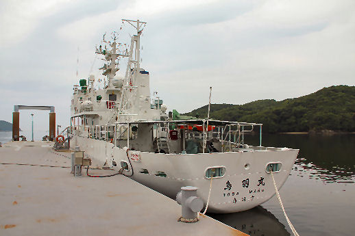 3061712.jpg
