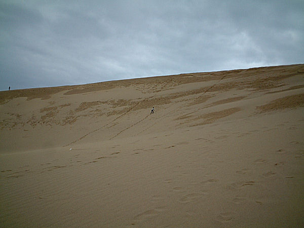 dune3.jpg