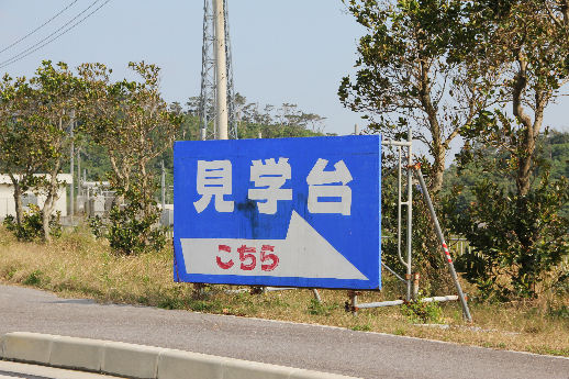 3021504.jpg