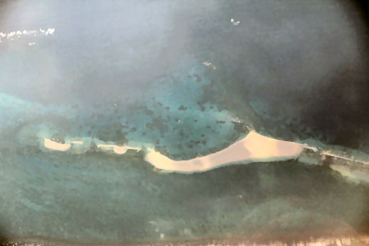 3021004.jpg