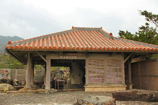 3051906.jpg