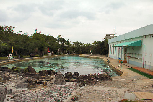 3051907.jpg
