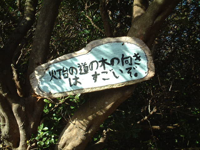 DSCF0144.JPG