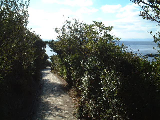 DSCF0145.JPG