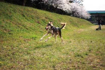 09.04春_059web.jpg